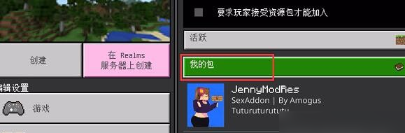 我的世界珍妮模组怎么导入-我的世界珍妮模组导入方法-游侠手游